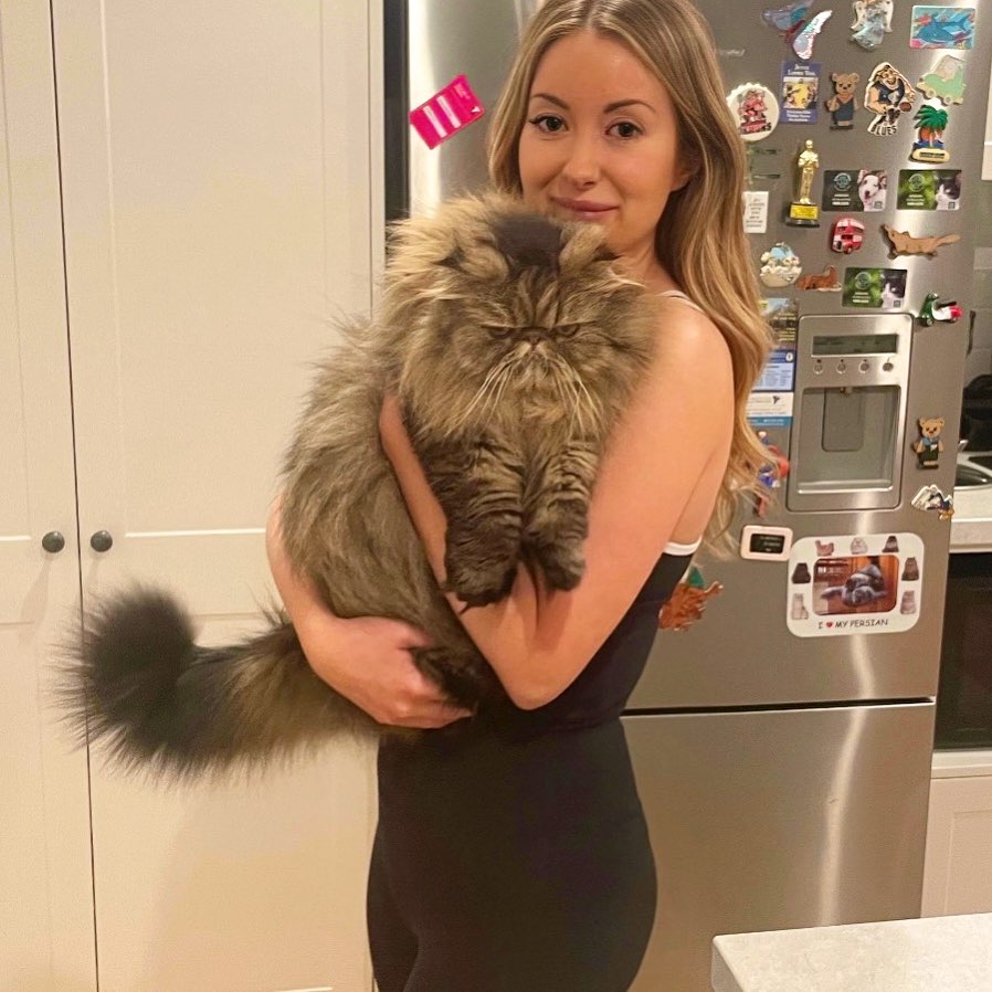 7/8 Shaper Move Leggings + Pockets - Black | Mum Tum Hiding