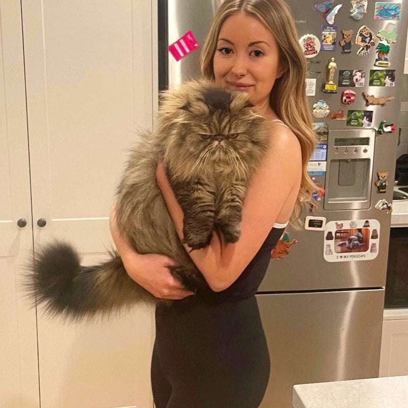 7/8 Shaper Move Leggings + Pockets - Black | Mum Tum Hiding