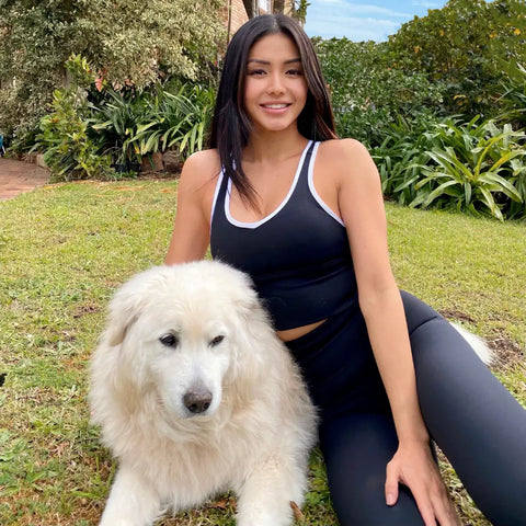 Beautiful white Great Pyrenees dog showcasing the athleisure trend with fluffy fur